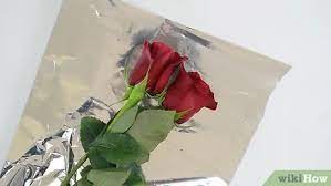 How To Keep Roses Fresh: 13 Steps (With Pictures) - Wikihow