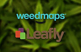 Check spelling or type a new query. Weedmaps Vs Leafly Which Is Best For A Marijuana Dispensary And Business