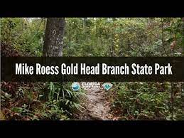 Maybe you would like to learn more about one of these? Firsthand Florida Fun Mike Roess Gold Head Branch State Park Youtube