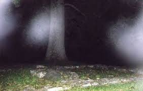 This is real ghost observer scary detector and camera. Paranormal Phone Apps Like Ghost Radar Help Smartphone Users Seek Spirits Huffpost