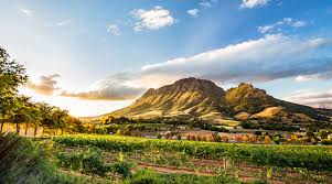 Not affiliated with knp/sanparks showcasing the best photography from the kruger national park, sa tag @krugernationalpark admin @muzerious. Greater Kruger National Park Safari Winelands Azamara