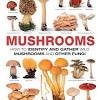 Whether you choose to grow the mushrooms indoors or outdoors, keep the soil damp and at the appropriate temperature. 1
