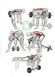 Lats Workouts Lat Workout Workout Chart Gym Workouts