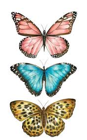 Pinterest Macywillcutt Butterfly Drawing Butterfly Painting Butterfly Art Sweet, simple and colorful crochet butterflies are elegant and beautiful.