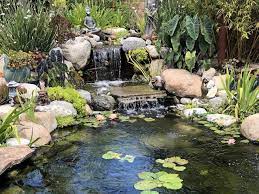 Pond synonyms, pond pronunciation, pond translation, english dictionary definition of pond. Fish Ponds The Pond Digger