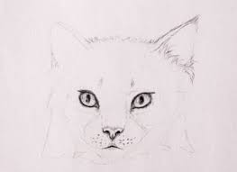 It doesn't matter what you're drawing, if it's elf ears, round ears, animals, people, a scenery or just a simple object, the answer will be the same: How To Draw Animals Quickly Render Fur