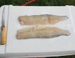 Well worth the extra time for my money. Debunking Deboning Northern Pike Primally Wild
