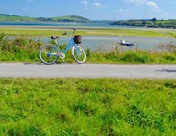 See 597 reviews, articles, and 193 photos of the camel trail, ranked no.1 on tripadvisor among 13 attractions in wadebridge. The Camel Trail Map And Guide Padstow Wadebridge Bodmin