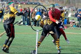 Resultado de imagen de juego del quidditch libro