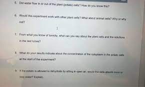 Check spelling or type a new query. Experiment 4 Osmosis Tonicity And The Plant Cell Chegg Com