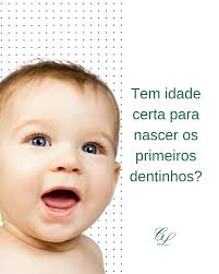 Consultório Odontológico C. Lopes (@odontologiacandidolopes) • Instagram  photos and videos