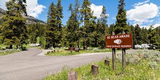 Next door to grand teton national park and jackson hole. Pebble Creek Campground Yellowstone National Park U S National Park Service