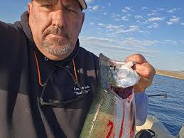 Identifying a fish species, possibly Trevally or Jack, in a fishing context
