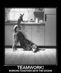 Mttb System Mttb Workplace Quotes Funny Motivational Quotes Teamwork Quotes