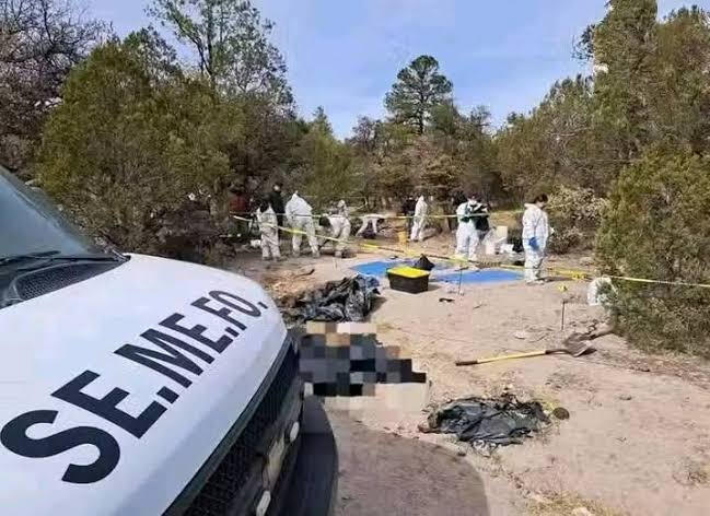 Localizan restos óseos en Rosales; investigan identidad de la víctima