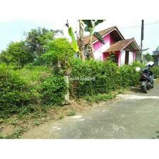 Cari dan beli lahan tanah yang dijual lengkap mulai dari info lokasi dan penawaran harga murah terjangkau! Dijual Tanah Kavling Luas Strategis Dan Tenang Cocok Untuk Hunian Di Kota Ungaran Di Semarang Tribunjualbeli Com