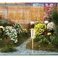 The 75th Matsue Chrysanthemum Exhibition event image