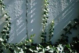 We did not find results for: Pin On Gardening