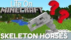 Minecraft All About The Skeleton Horse Life On Minecraft Avomance 2019 Youtube