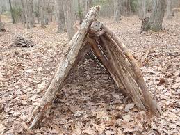 Check spelling or type a new query. Survival Shelters 15 Best Designs And How To Build Them
