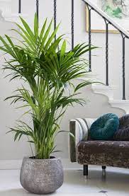 46 best inspiring houseplants decoration ideas zimmerpflanzen dekor wohnzimmer pflanzen hauspflanzen