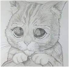 Dibujos Faciles De Amor A Lapiz Kawaii Para Dibujar Imprimir Colorear Colorear Imagenes Animales Dibujados A Lapiz Dibujos Dibujos Faciles