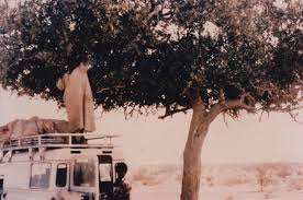 Image result for Dobera