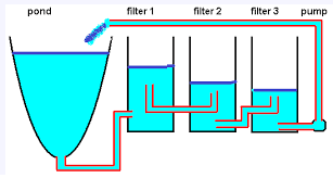 Diy Gravity Flow Filters Drums Tubs Etc Pro S And Con S Kolam Halaman Belakang Kolam Ikan Kolam