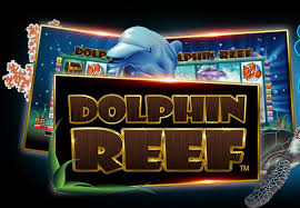 Dolphin Reef At 918kiss Dolphin Reef Casino Online Casino
