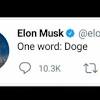 Dogecoin has dropped more than 70% since the hype peaked around the token when elon musk appeared on snl in may. 1