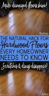Pets In The Classroom Pets Playhouse Cleaning Hacks Diy Cleaning Products House Cleaning Tips