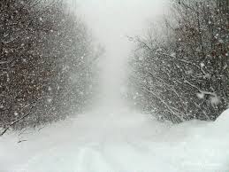 Image result for snow storm