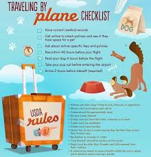 We assign your order to one of our quality riders as soon as you place it. How To Move With A Pet In Thailand Siam Relocation