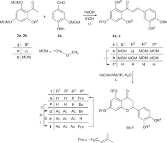 Image result for Monotes engleri