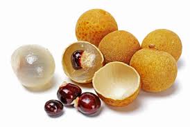 Dimocarpus Longan Seeds Longan Seeds Fruit