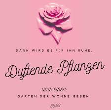 Liebe Blumen Islam Quran Paradies Sehnsucht Sunna Hadith Sehnsucht Nach Dir Spruche Zitate Islam