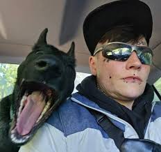 VENOM One year old today...❤️🥹💐