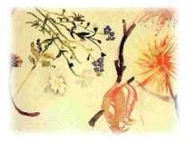 Bambini Di Terezin Poesie Poesia Bambini Grafici