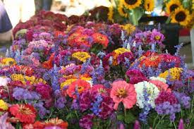 Maybe you would like to learn more about one of these? Carroll County Maryland Grown Flowers
