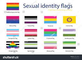 Sexual Identity Pride Flags Set Lgbt: стоковая векторная графика (без  лицензионных платежей), 2001470681 | Shutterstock
