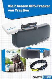 die 7 besten gps tracker von tractive haustiere haustiere fur kinder haustier