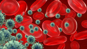 Learn vocabulary, terms and more with flashcards, games and other study tools. Why Are Cancer Cells Attracted To The Bone Marrow