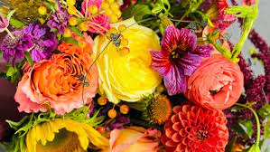 Maybe you would like to learn more about one of these? Tgmbdxvjyr3 Gm