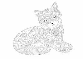 O dacht je soms dat panda s niet gekleurd hoeven te worden omdat ze toch. Kleurplaat Poes 81 Leukste Katten En Poezen Kleurplaten