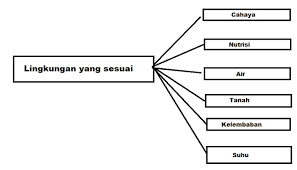 Nah, bagi yang awam mungkin belum terlalu mengerti tips dan cara merawat tanaman anthurium ini agar tumbuh subur. Kunci Jawaban Tema 6 Kelas 4 Halaman 25 26 27 28 29 30 31 32 Pembelajaran 3 Subtema 1 Laman 3 Dari 5 Halo Belajar