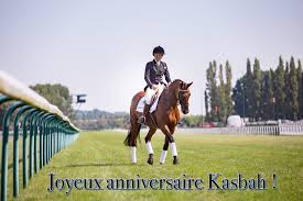 Maybe you would like to learn more about one of these? Au Dela Des Pistes On Twitter Joyeux Anniversaire Au Laureat De Gr1 Kasbah Bliss Qui Prend Aujourd Hui 15 Ans Des Courses Au Dressage Pur Il N Y A Qu Un Pas Https T Co Z5xbt3vztu