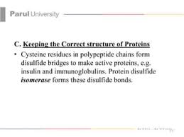 Disulfide Bridges Are A Type Of Covalent Bond Critical To Maintaining The  3-Dimensional Shape Of Proteins. The Amino Acid Involved In Disulfide  Bridge Formation Is: A. Tyrosine B. Arginine C. Cysteine D.