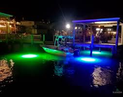 24 000 Lumen Led Dock Lights Easy Plug In And Toss In Veteran Owne