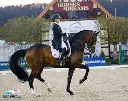 Veröffentlicht am 27.06.2021 von alexandra koch reiterrevue international. Werth To Ride Bella Rose And Quantaz At 2021 German Championships