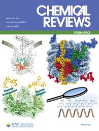 Sirtuins in Epigenetic Regulation